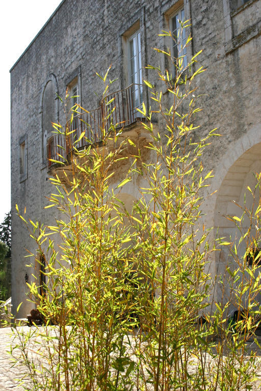 Vakantieboerderij Antonelli Piangevino